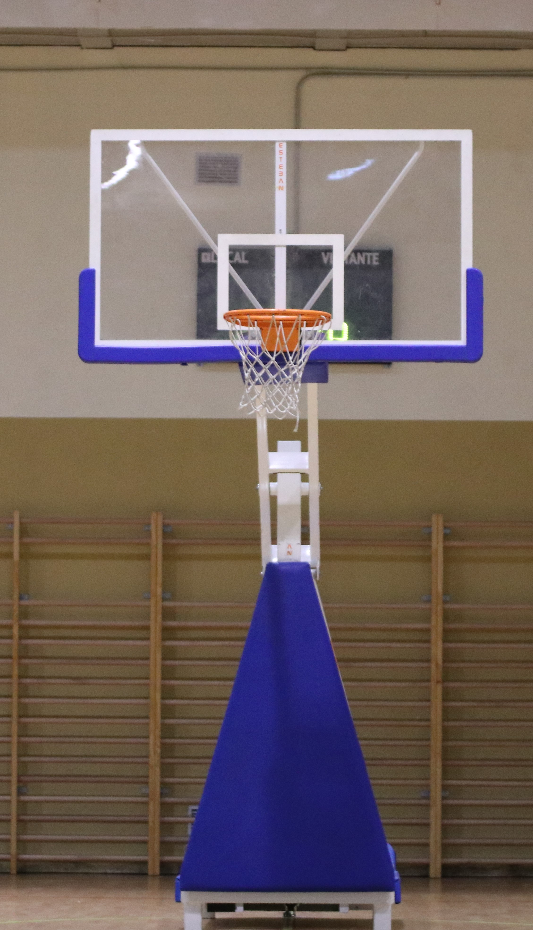 Vista de una canasta